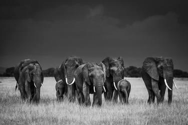 Elephants Family (7585) - Signed edition thumb