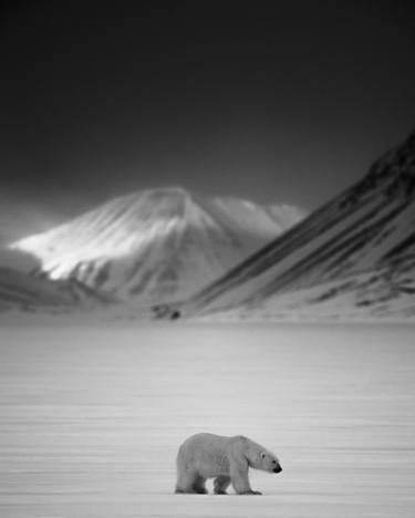 Original  Photography by Laurent Baheux