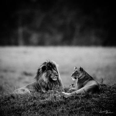 Original Fine Art Animal Photography by Laurent Baheux