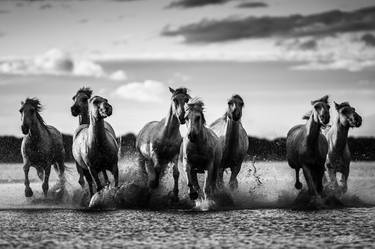 Original Figurative Horse Photography by Laurent Baheux