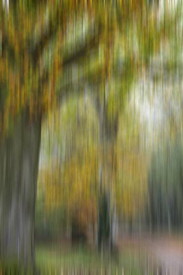 Original Expressionism Abstract Photography by Janice Clements