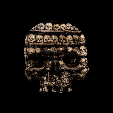 Skull - Limited Edition 1 of 1 thumb