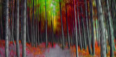 Original Abstract Photography by Janice Clements