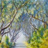 Collection Navigating Landscapes