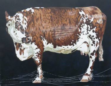 Print of Figurative Cows Paintings by Sylvie Bayard