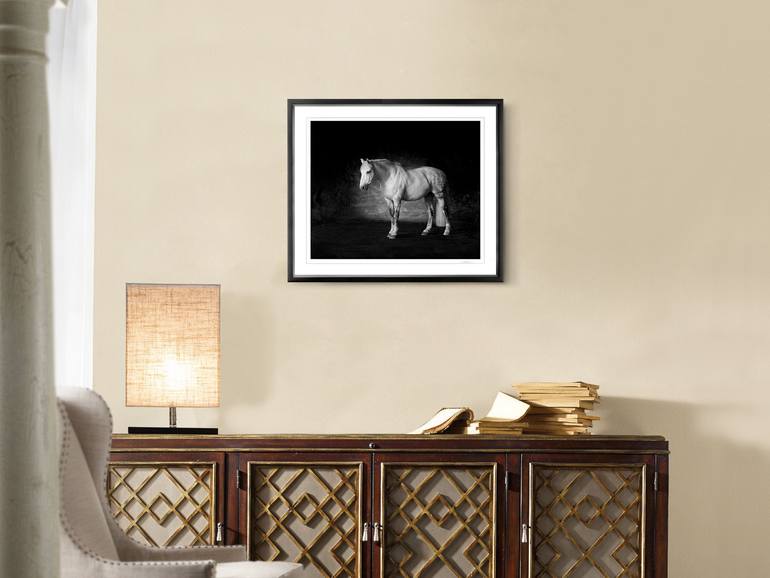 Original Figurative Horse Photography by Lindsay Robertson