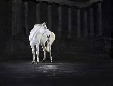 Original Photorealism Animal Photography by Lindsay Robertson