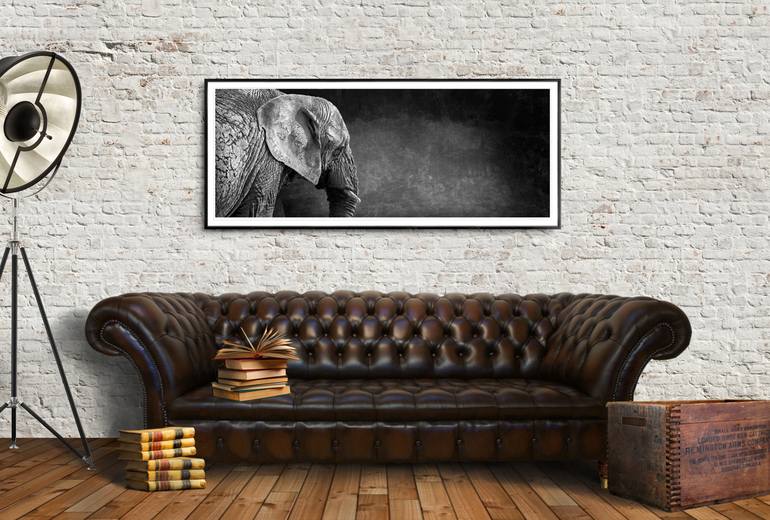 Original Fine Art Animal Photography by Lindsay Robertson