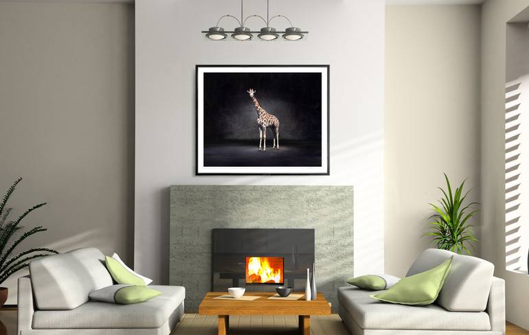 Original Fine Art Animal Photography by Lindsay Robertson