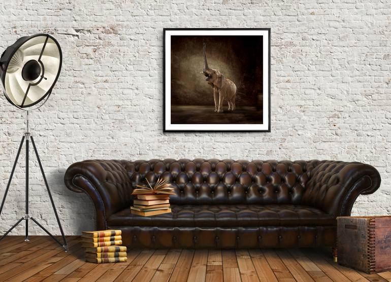 Original Figurative Animal Photography by Lindsay Robertson