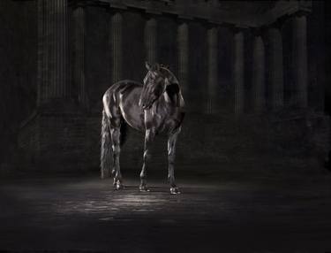 Original Horse Photography by Lindsay Robertson