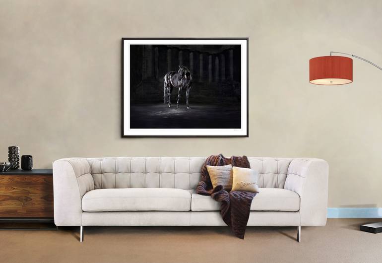 Original Fine Art Horse Photography by Lindsay Robertson
