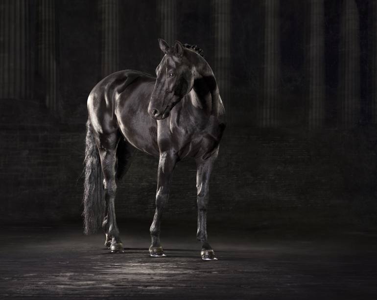 Original Fine Art Horse Photography by Lindsay Robertson