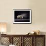 'White Rhino' …. Medium Sized Edition on the wall.