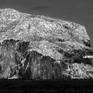 Bass Rock Detail of Image