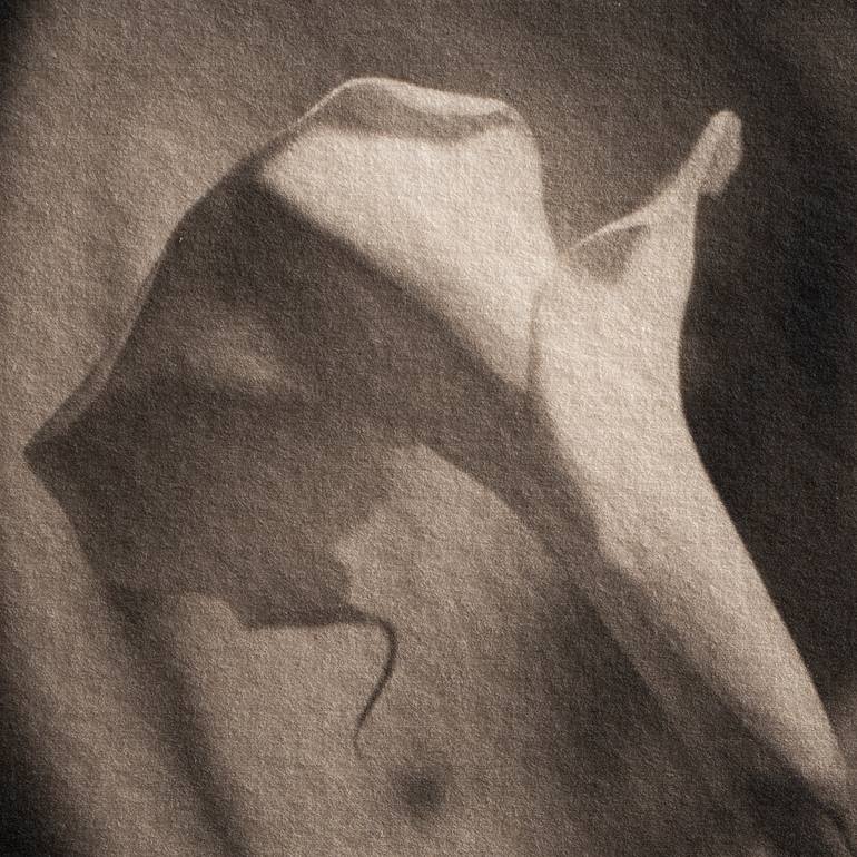 Original Contemporary Nude Photography by Juan Carlos Franco Toriz