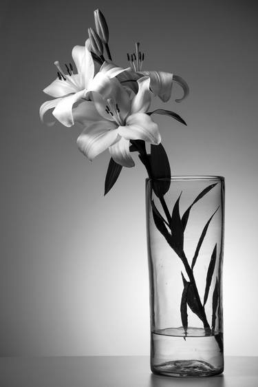 Saatchi Art Artist Juan Carlos Franco Toriz; Photography, “Two White Flowers” #art