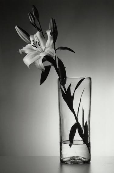 Original Figurative Floral Photography by Juan Carlos Franco Toriz