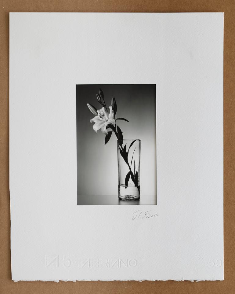 Original Figurative Floral Photography by Juan Carlos Franco Toriz