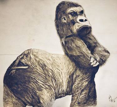 Original Animal Drawings by Carlos Romano