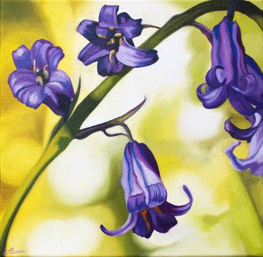 Original Floral Paintings by Lynsey Ewan