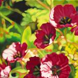 Geranium by Lynsey Ewan