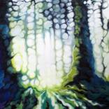 Forest Glow by Lynsey Ewan