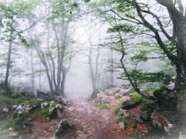 Fog in Soba thumb