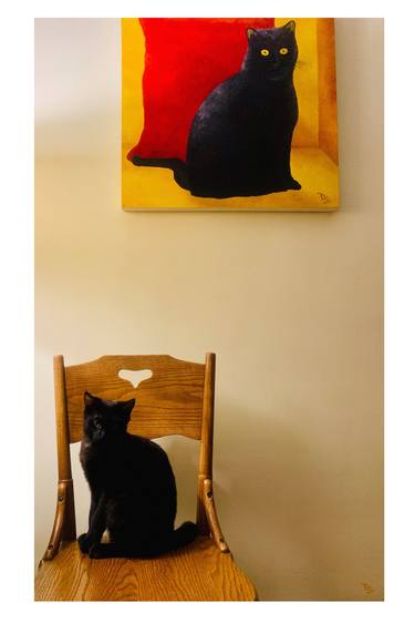 Original Cats Photography by Dee Conroy