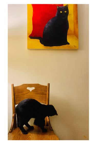 Print of Figurative Cats Photography by Dee Conroy