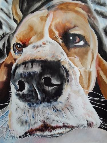 Original Photorealism Animal Paintings by Soso Kumsiashvili