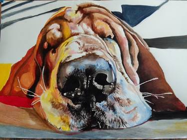 Print of Photorealism Animal Paintings by Soso Kumsiashvili