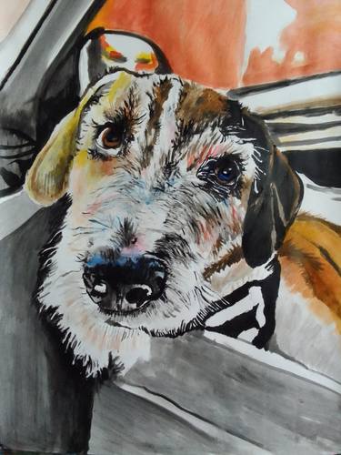 Original Contemporary Animal Paintings by Soso Kumsiashvili