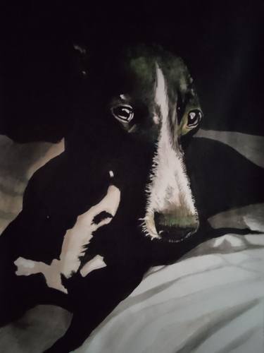 Black clearance dog paintings