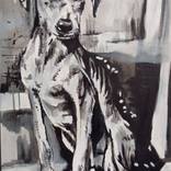 Street dog by Soso Kumsiashvili