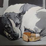 Street dog by Soso Kumsiashvili
