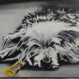 Street dog by Soso Kumsiashvili