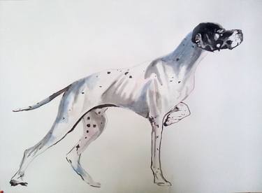 German Shorthaired Pointer Painting By Soso Kumsiashvili Saatchi Art