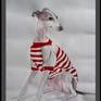 "Whippet" acrykic on paper 85X60cm
By Soso Kumsiashvili
  My creations , reflects feelings and emotions that all the living beings possess. It features condition of less stable mental health. to draw attention to human emotions. It shows the natural emotions, that are common and at the same time create individuality. I'm drawing canvas oil but also like to work on the paper. My paintings are mostly animals. While working at the time I need silence