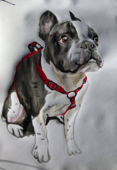 Original Dogs Paintings by Soso Kumsiashvili