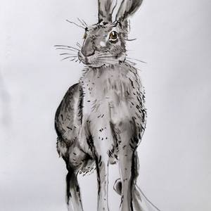 Collection Portraits for $500 and Under