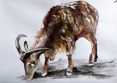 Original Animal Paintings by Soso Kumsiashvili