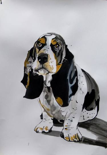 basset hound thumb