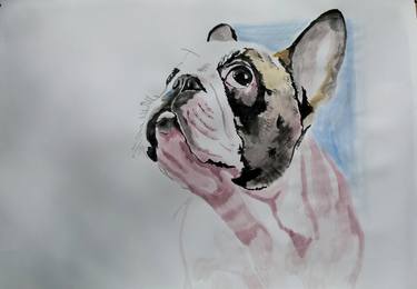 Original Fine Art Animal Paintings by Soso Kumsiashvili