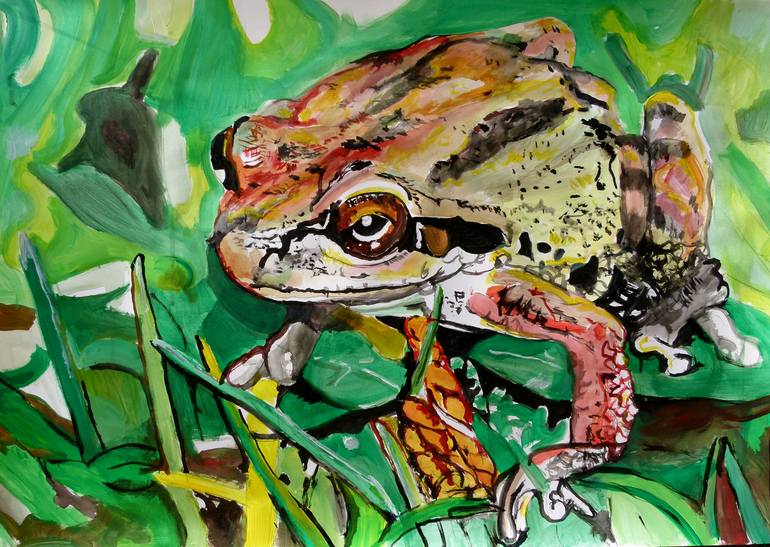 Frog - Print