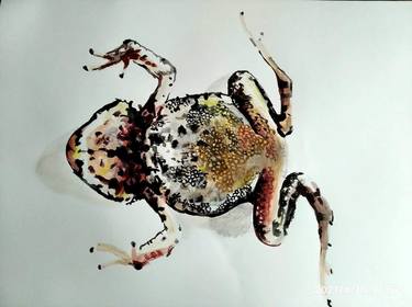 Original Minimalism Animal Paintings by Soso Kumsiashvili