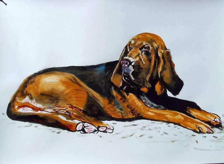 How Big Do Bloodhounds Get | lupon.gov.ph