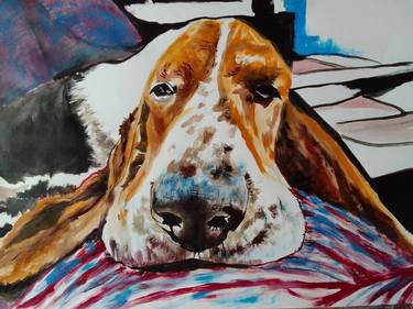 Bassethound thumb