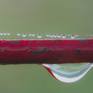 view additional image 1