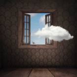 Collection Pantone Color of the Year: Cloud Dancer